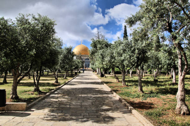 widok na kopułę skały w jerozolimie - jerusalem old town dome of the rock city zdjęcia i obrazy z banku zdjęć