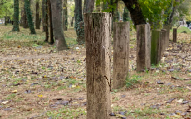 istock Wooden fence in forest 1188013295