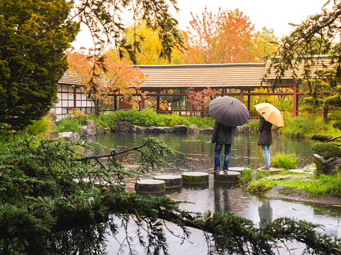 Couple in the rain with umbrellas in a Japanese garden, Nantes, France. Romantic concept.