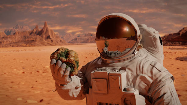 istock life on planet Mars, astronaut discovers bacterial life on the surface of a rock 1188018385