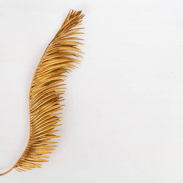 istock Golden colored leaf of palm. Painted metallic plants. Creative summer background with copy space. 1188020653