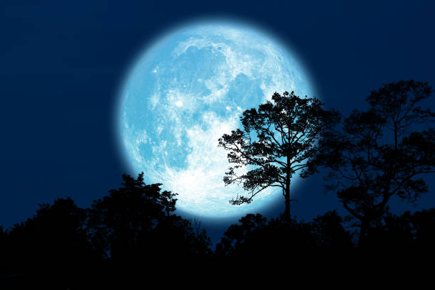 istock Full Buck Moon back silhouette trees in field 1188021522