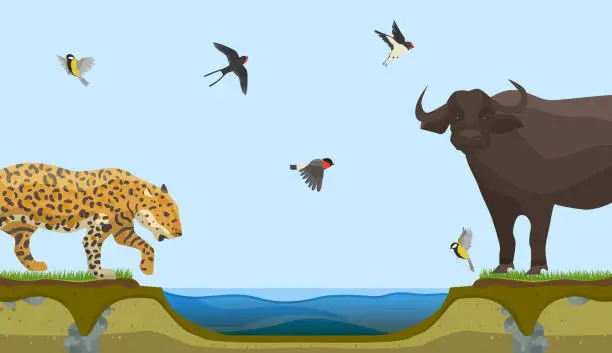 Vector illustration of African animals at water place at savanna landscape vector illus