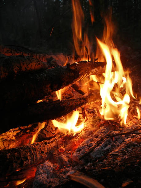 istock Night bonfire in the forest 1188025758