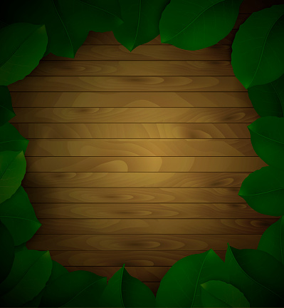 wood and green leaves background with empty space in the middle, shadowy wooden background and leaves , vector