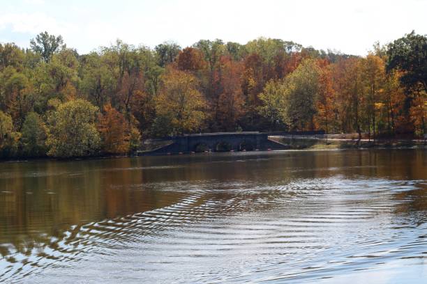 istock Autumn at the Lake 1188026113