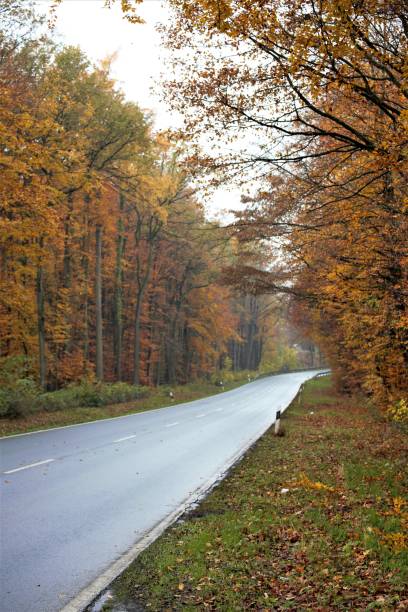 istock road in autumn 1188028387