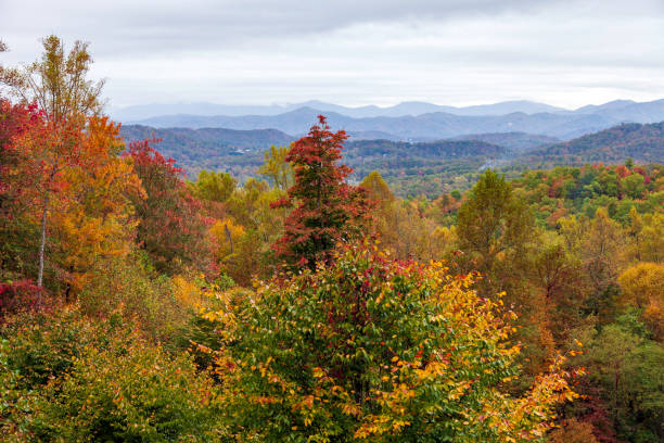 amazing view of the north carolina appalachians in autumn - famous place appalachian mountains autumn awe imagens e fotografias de stock