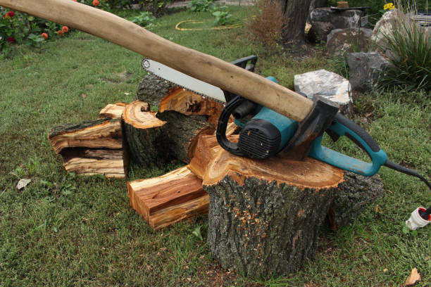 Harvesting firewood for the winter. An ax and an electric saw lie on a stump.