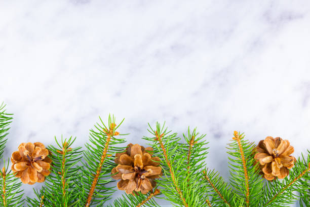 istock Christmas framework with fir branches and pine cones on white background. Christmas frame of spruce branches on marble background. Copy space. Flat lay 1188036936