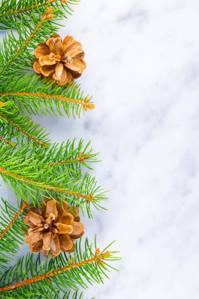 istock Christmas framework with fir branches and pine cones on white background. Christmas frame of spruce branches on marble background. Copy space. Flat lay 1188036940