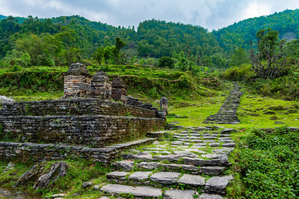 istock Hiking trail at the jungle, Lower Himalayan Range in Pokhara, Nepal 1188037480