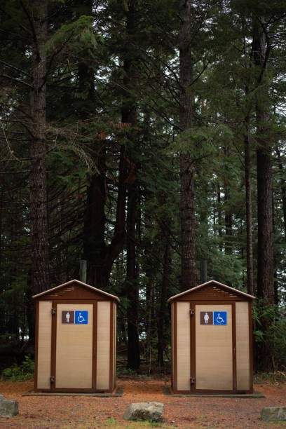 istock Mens and womens outhouses in pine forest 1188037553