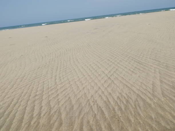 Beach scenic view of Pichavaram, Tamilnadu stock photo