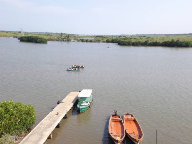 istock Backwater forest and river and boats 1188039447
