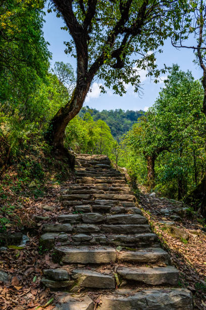 istock Hiking trail at the jungle, Lower Himalayan Range in Pokhara, Nepal 1188039453