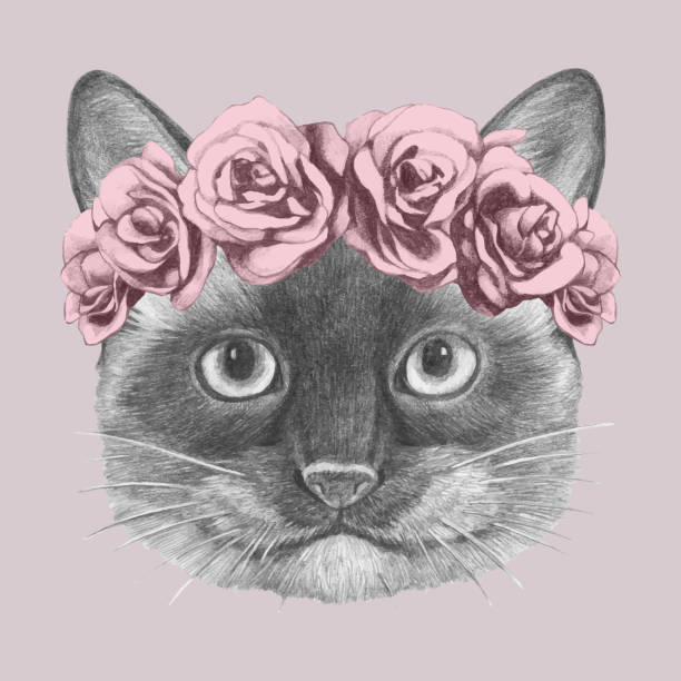 kuvapankkikuvitukset aiheesta siamilainen kissan muotokuva kukkapääseppeleellä. käsin piirretty kuva. vektori eristetyt elementit. - siamese cat