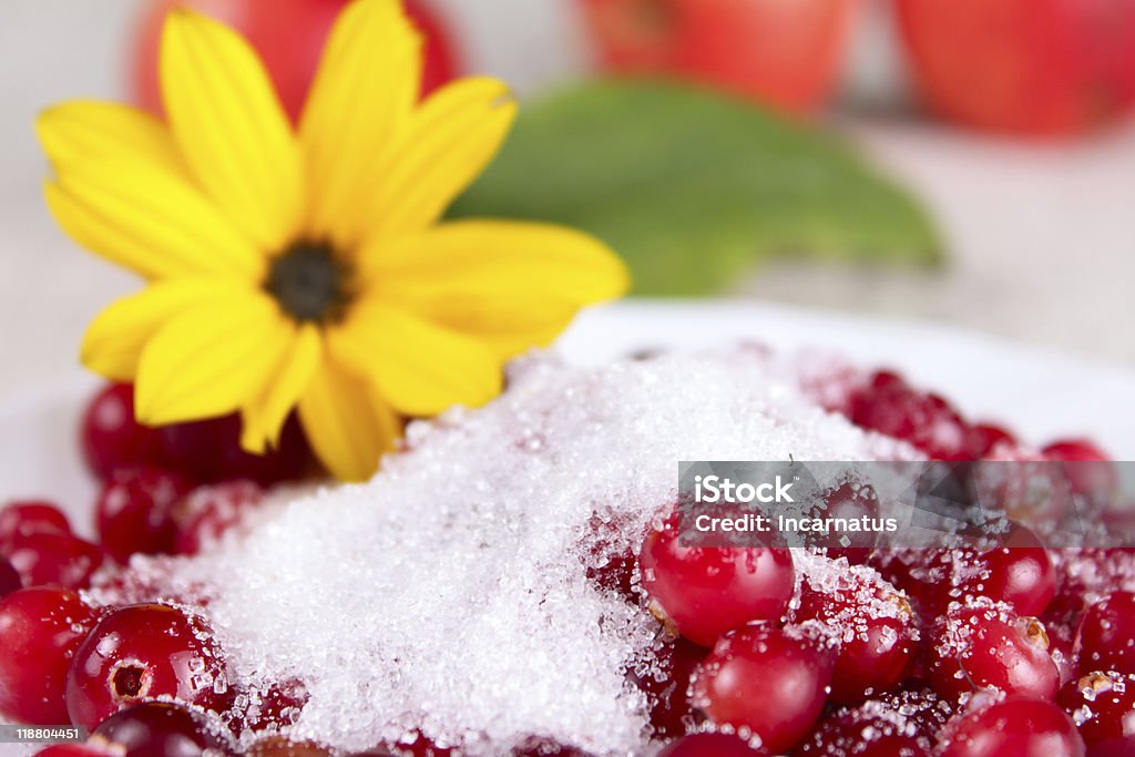 Cowberry azúcar en contra de una flor amarilla - Foto de stock de Alimento libre de derechos