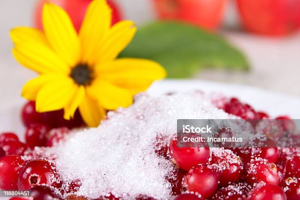 Cowberry В Сахар Против Желтый Цветок — стоковые фотографии и другие картинки Белый - Белый, Вегетарианское питание, Волокно