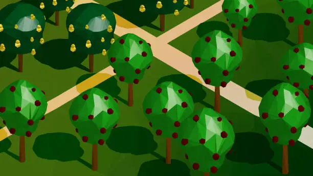 Vector illustration of Low poly landscape in isometric view - Orchard. Apple trees, pear trees and paths.