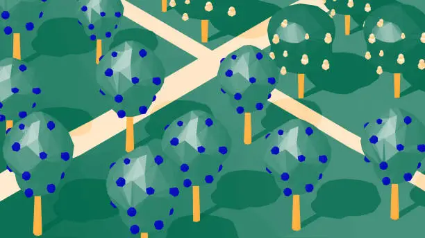 Vector illustration of Low poly landscape in isometric view - Orchard. Apple trees, pear trees and paths.