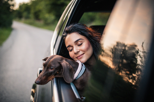 Beautiful young woman with curly hair and her dog driving in a car.