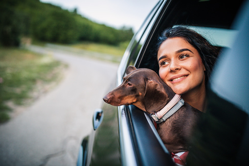Beautiful young woman with curly hair and her dog driving in a car, looking through window.