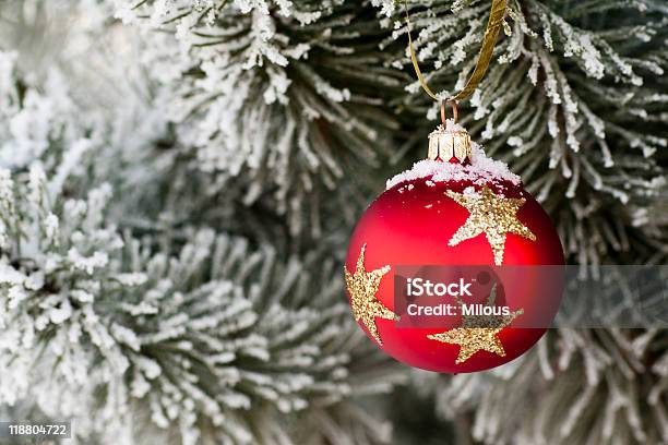 Vermelho Bauble Natal Com Neve - Fotografias de stock e mais imagens de Abeto - Abeto, Agulha - Parte de planta, Artigo de Decoração