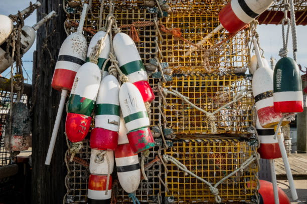 istock Hanging Buoys 1188047448