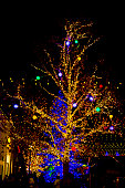 bunte-weihnachtslichter-um-einen-baum-gewickelt.jpg?b=1&s=170x170&k=20&c=5O5YUbC0jQtMawToHe0rhywM4-EkqQJBTofJ_1tc1uI=