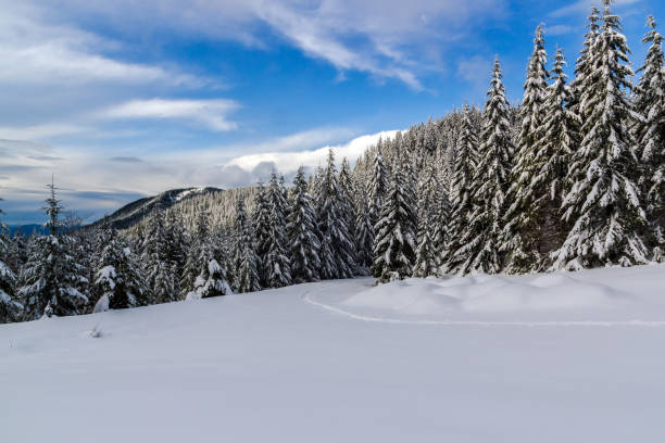 istock Ski Tracks in fresh Snow 1188049218