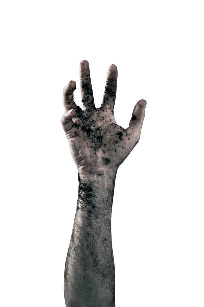 白い背景に隔離された土壌でゾンビの手汚れ - horror spooky shock zombie ストックフォトと画像