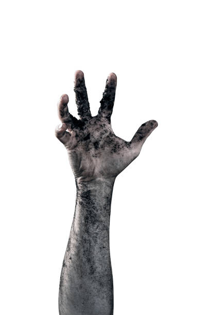 istock Zombie hand dirty with soil isolated on white background 1188051404