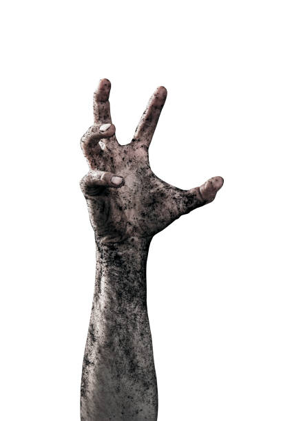 istock Zombie hand dirty with soil isolated on white background 1188051414