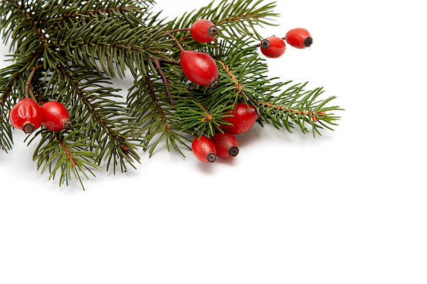 istock Red-green christmas arrangement 118805144