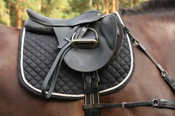 Black leather saddle on black horse