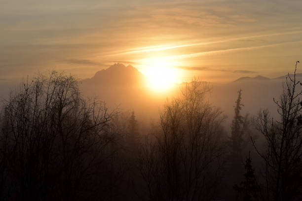 istock Foggy mountain sunrise 1188055269