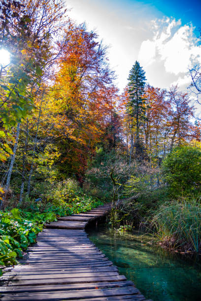 istock Beautiful autumn landscape in Plitvice Jezera Lakes Park 1188058367