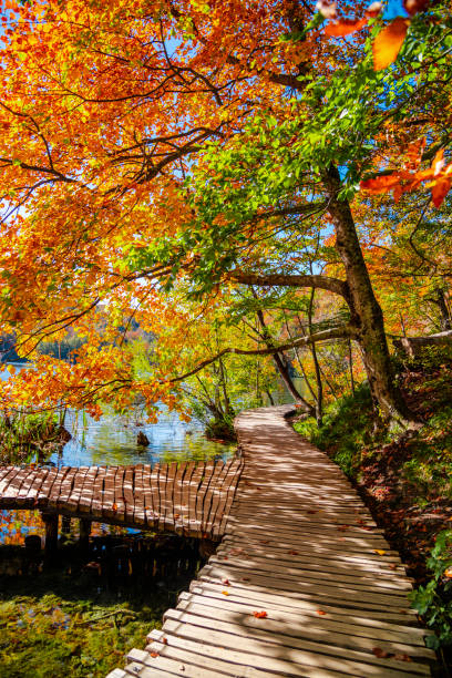 istock Beautiful autumn landscape in Plitvice Jezera Lakes Park 1188059330