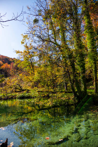 istock Beautiful autumn landscape in Plitvice Jezera Lakes Park 1188060307