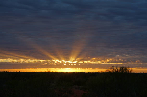 istock Sunset in Alice Springs 1188061129