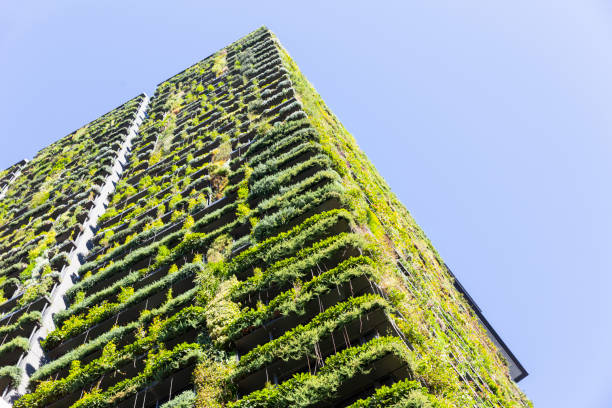 Low angle view of apartment building with vertical garden, sky background with copy space, Green wall-BioWall or living wall is a wall covered with living plants on residential tower in sunny day, Sydney Australia, full frame horizontal composition