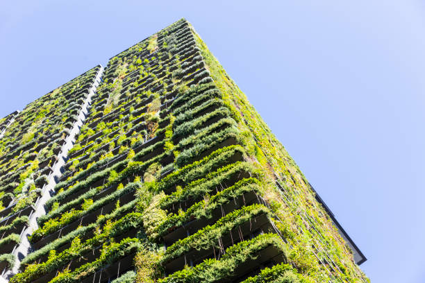 Low angle view of appartment building with vertical garden, sky background with copy space Low angle view of apartment building with vertical garden, sky background with copy space, Green wall-BioWall or living wall is a wall covered with living plants on residential tower in sunny day, Sydney Australia, full frame horizontal composition green building photos stock pictures, royalty-free photos & images