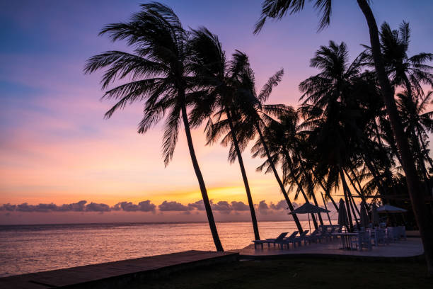 istock Bali in the morning sun. 1188063133