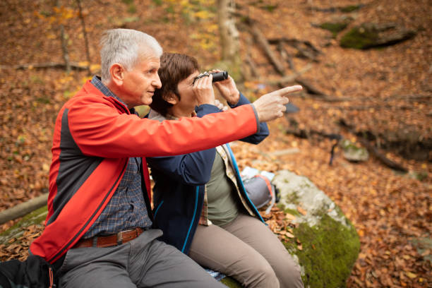 istock Senior couple going hiking in forest on mountain 1188063325