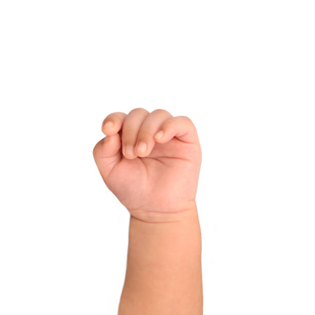istock Baby hand isolated on white background. 1188063567
