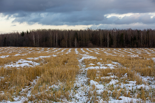 Field with straw covered with first snow.