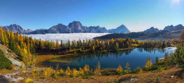 istock clear Lake Federa in Dolomites Alps 1188066422