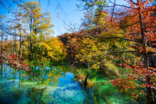 Beautiful autumn landscape in Plitvice Jezera Lakes Park, Croatia