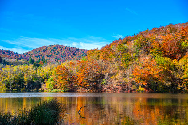 istock Beautiful autumn landscape in Plitvice Jezera Lakes Park 1188071430